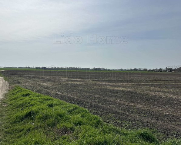 Eladó telek, Lepsényben 17 M Ft / költözzbe.hu