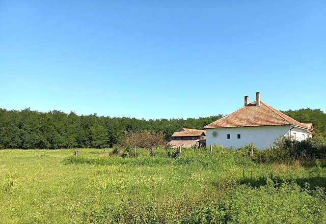 Eladó mezogazdasagi ingatlan, Nyírábrányon 55 M Ft