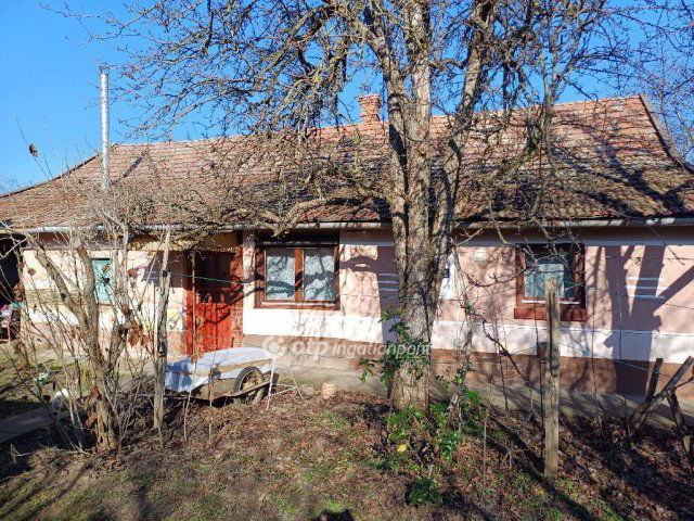 Eladó családi ház, Csanyteleken 10.5 M Ft, 2 szobás