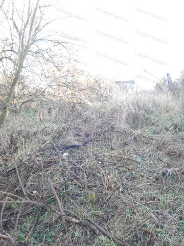 Eladó mezogazdasagi ingatlan, Kaposváron 0.99 M Ft