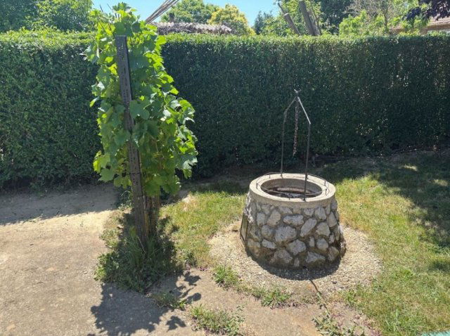 Eladó családi ház, Palkonyán 137 M Ft, 6 szobás