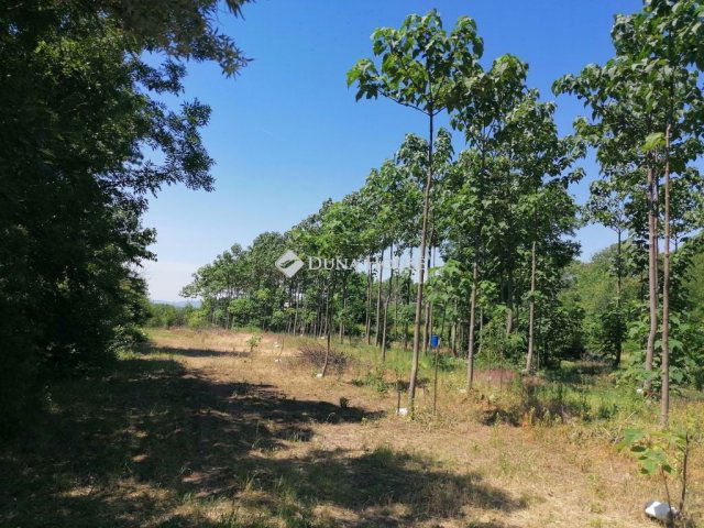 Eladó telek, Bicskén 9.5 M Ft / költözzbe.hu