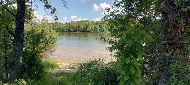 Eladó telek, Budakalászon, Duna sétányon 150 M Ft