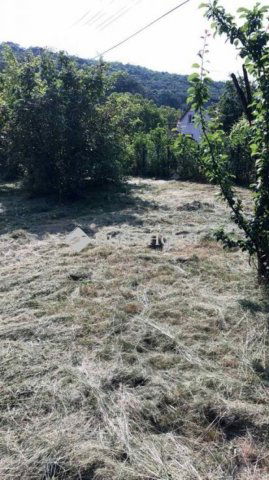 Eladó telek, Szárligeten 13.5 M Ft / költözzbe.hu