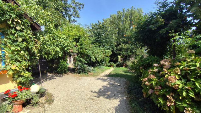 Eladó családi ház, Mihályin 44 M Ft, 2 szobás