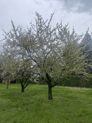 Eladó telek, Érden 79.9 M Ft / költözzbe.hu