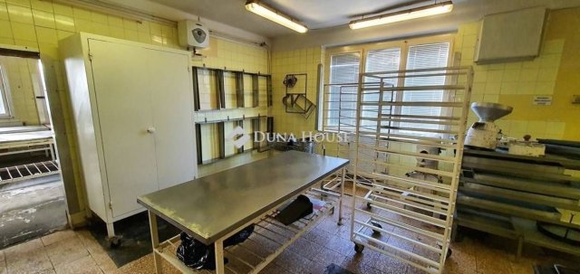 Eladó ipari ingatlan, Békéscsabán 200 M Ft