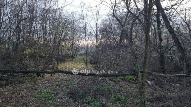 Eladó telek, Albertirsán 6.5 M Ft / költözzbe.hu