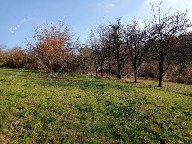 Eladó telek, Zalaegerszegen 0.85 M Ft / költözzbe.hu