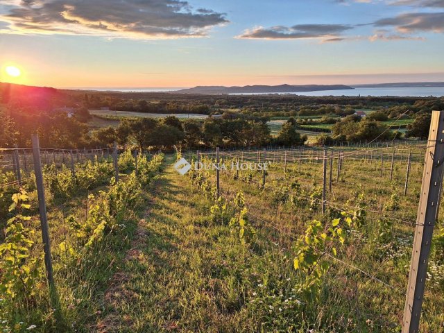Eladó mezogazdasagi ingatlan, Dörgicsén 200 M Ft