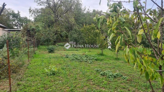 Eladó mezogazdasagi ingatlan, Pellérden 8.5 M Ft