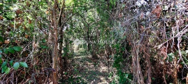 Eladó családi ház, Pécelen 65 M Ft, 4 szobás