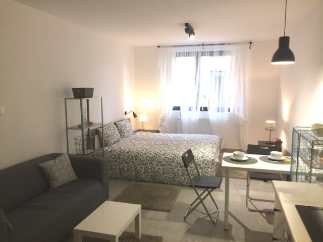 Kiadó téglalakás, albérlet, Pécsett, Antal utcában, 1 szobás