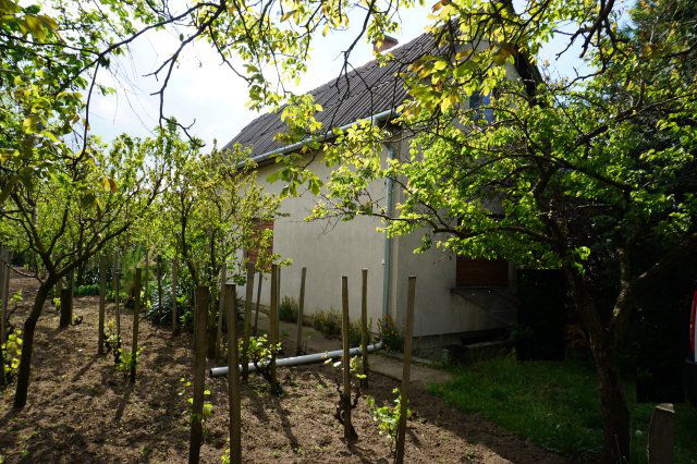 Eladó családi ház, Szabadbattyánban 23.99 M Ft, 1 szobás