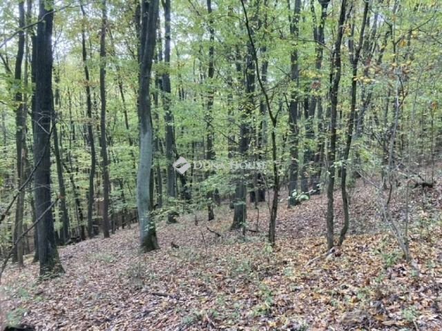 Eladó telek, Kismaroson, Hangafű utcában 10 M Ft