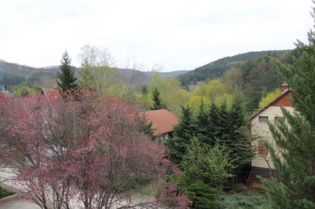 Eladó családi ház, Bükkszéken 42.5 M Ft, 5+1 szobás