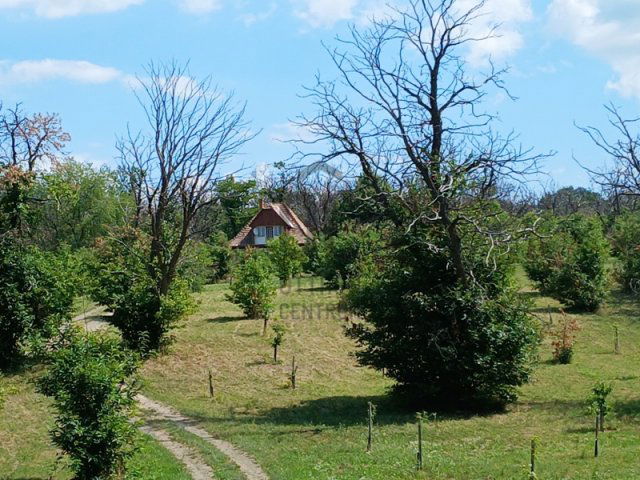 Eladó mezogazdasagi ingatlan, Pilismaróton 230 M Ft