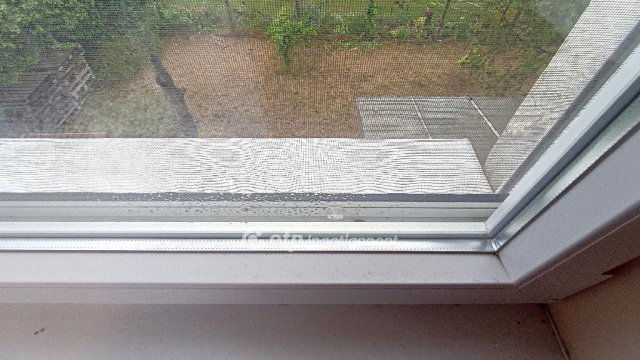 Eladó családi ház, Jászfényszarun 50 M Ft, 3 szobás