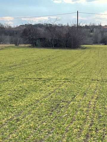 Eladó telek, Gárdonyban 32 M Ft / költözzbe.hu