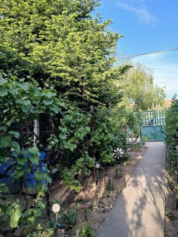 Eladó családi ház, Budapesten, XVII. kerületben 84.9 M Ft