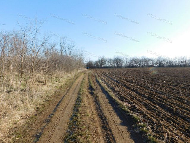 Eladó mezogazdasagi ingatlan, Balatonendréden 11.99 M Ft