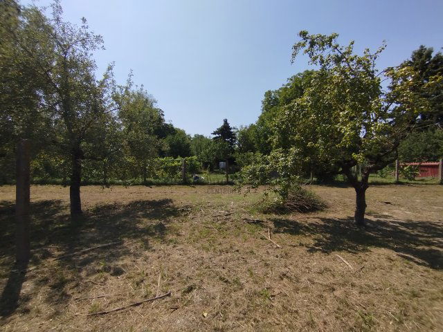 Eladó telek, Rácalmáson 15 M Ft / költözzbe.hu