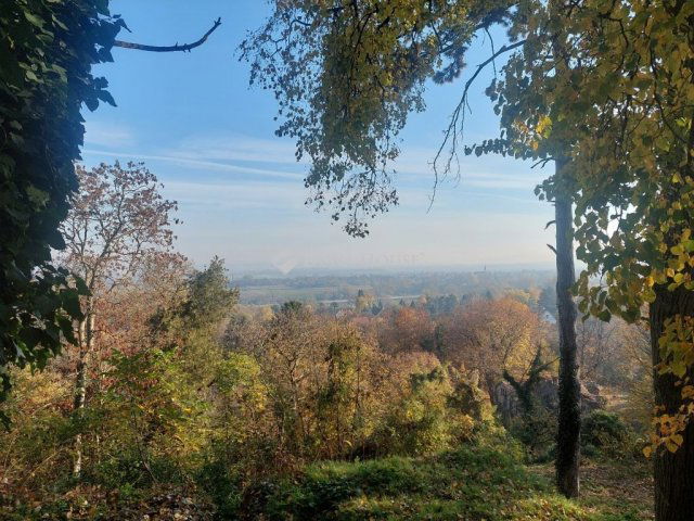 Eladó családi ház, Tahitótfalun 600 M Ft, 8 szobás