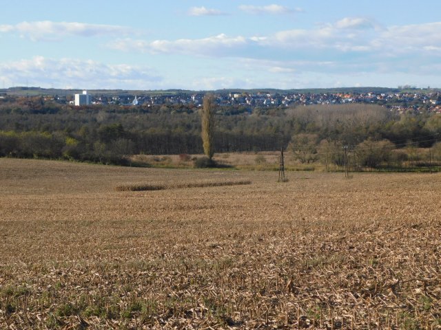 Eladó mezogazdasagi ingatlan, Keszthelyen 2.9 M Ft