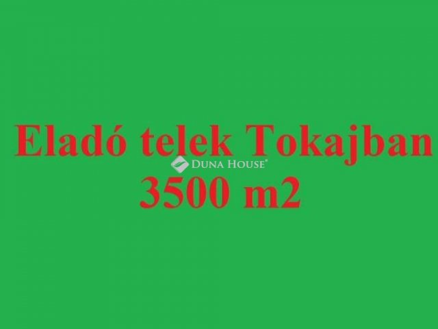 Eladó telek, Tokajban 2.1 M Ft / költözzbe.hu