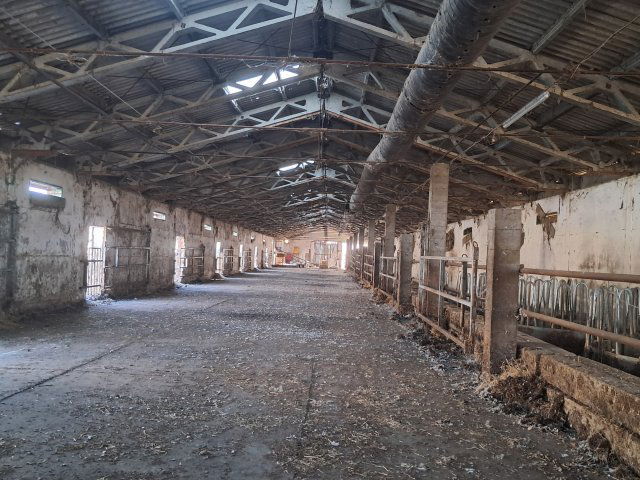 Eladó mezogazdasagi ingatlan, Besenyszögön 95 M Ft