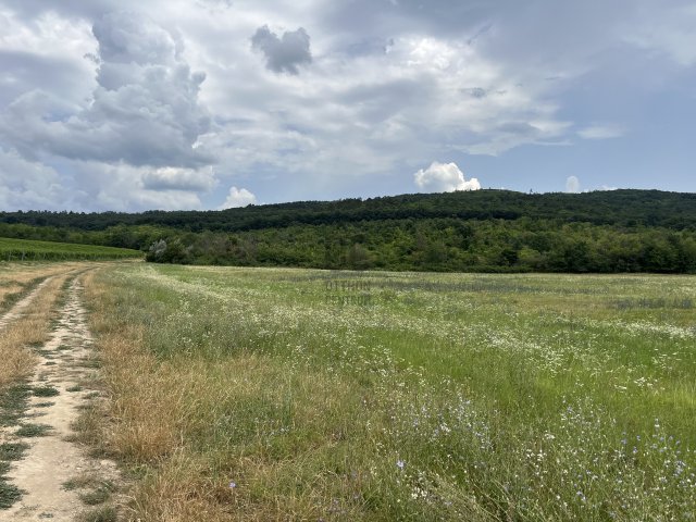 Eladó telek, Budajenőn 684 M Ft / költözzbe.hu