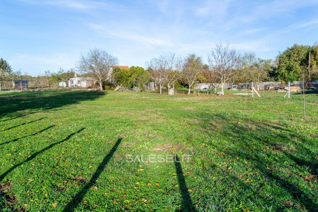 Eladó telek, Nyíregyházán 19.5 M Ft / költözzbe.hu