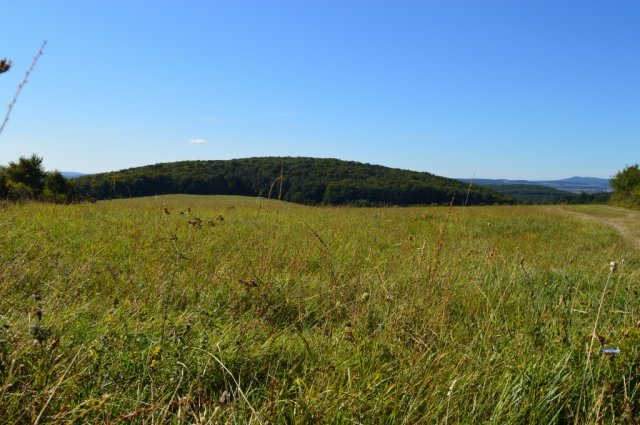 Eladó telek, Hárskúton 100 M Ft / költözzbe.hu