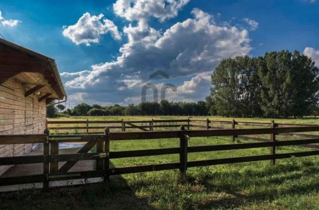 Eladó családi ház, Kocséren 150 M Ft, 3 szobás