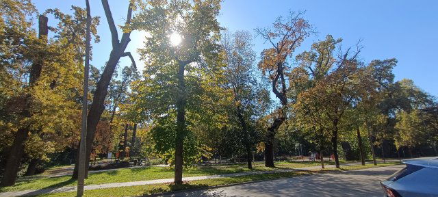 Kiadó téglalakás, albérlet, Szegeden, Népkert soron, 2 szobás