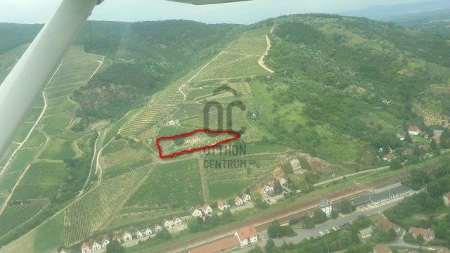 Eladó mezogazdasagi ingatlan, Tokajban 48 M Ft