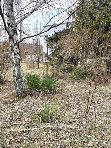 Eladó telek, Budajenőn 59 M Ft / költözzbe.hu