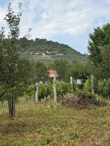 Eladó telek, Somlóvásárhelyen 9.9 M Ft / költözzbe.hu