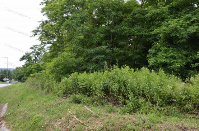 Eladó mezogazdasagi ingatlan, Hévízen 12.6 M Ft