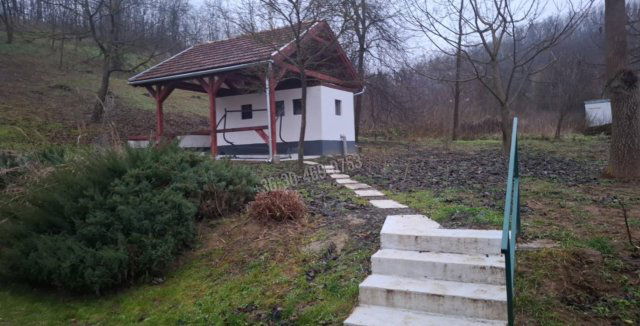 Kiadó családi ház, albérlet, Tolmácson 100 E Ft / hó, 1 szobás