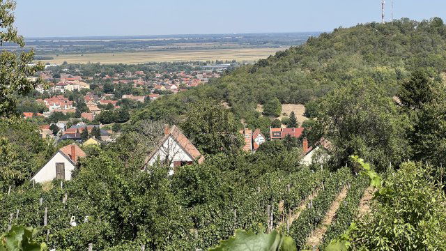 Eladó családi ház, Szekszárdon 15 M Ft, 2 szobás