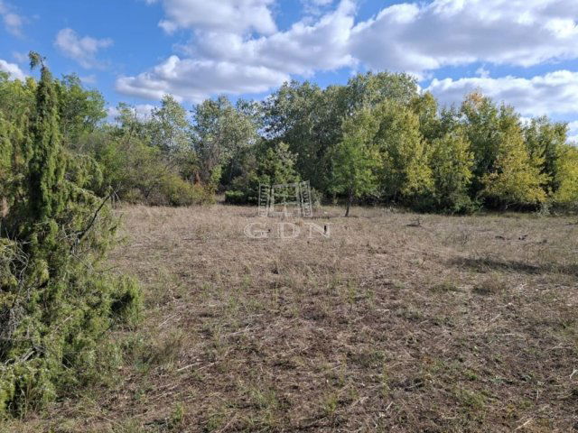 Eladó mezogazdasagi ingatlan, Kerekegyházán 2.8 M Ft