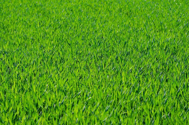 Eladó telek, Hévízen 99 M Ft / költözzbe.hu