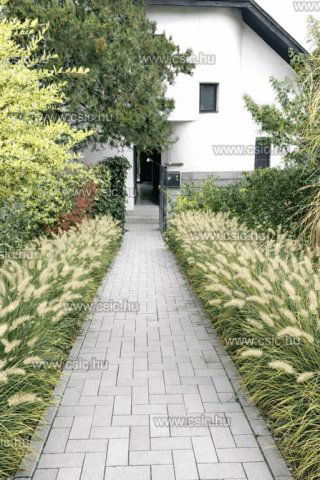 Eladó családi ház, Telkin 173 M Ft, 4 szobás