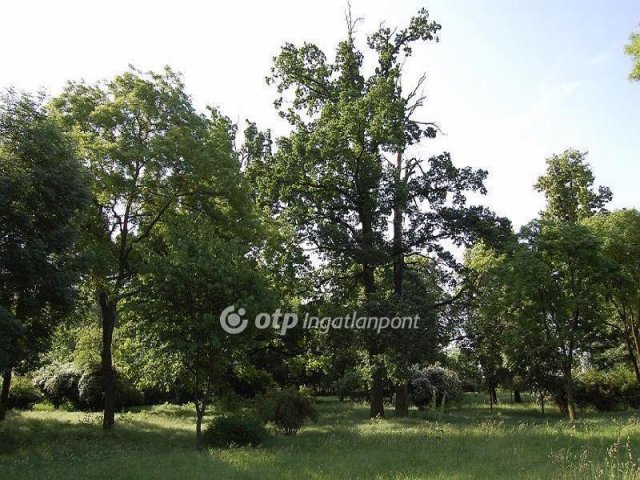 Eladó nyaraló, Csányon 199 M Ft, 1 szobás / költözzbe.hu