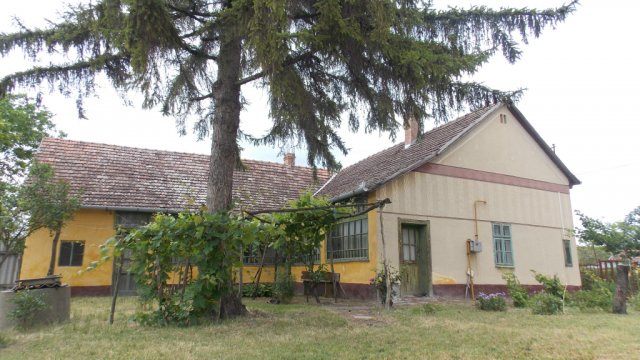 Eladó családi ház, Jászszentlászlón 20 M Ft, 3 szobás