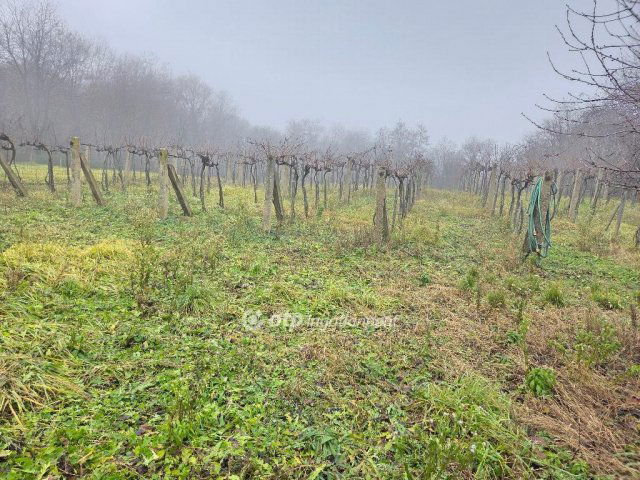 Eladó mezogazdasagi ingatlan, Lesencefaluban 10.9 M Ft