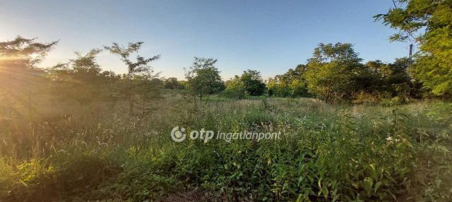 Eladó telek, Felcsúton 12.9 M Ft / költözzbe.hu