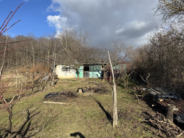Eladó mezogazdasagi ingatlan, Szekszárdon 4.9 M Ft