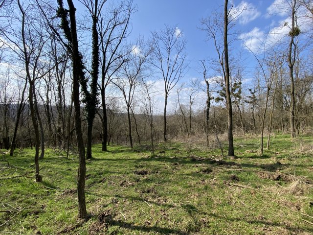 Eladó telek, Zalacsányon 5.5 M Ft / költözzbe.hu